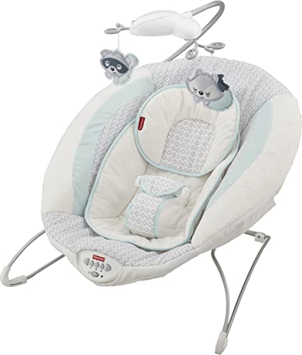 Fisher-Price Moonlight Meadow Deluxe Bouncer, portable plush infant seat with music, sounds, and vibrations